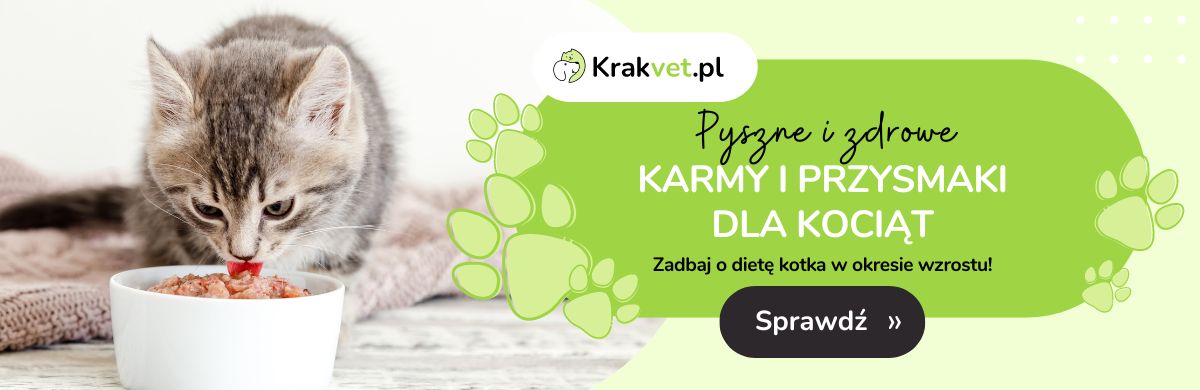 Karmy dla kociąt