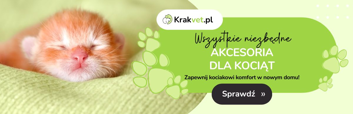 Wyprawka dla kociąt