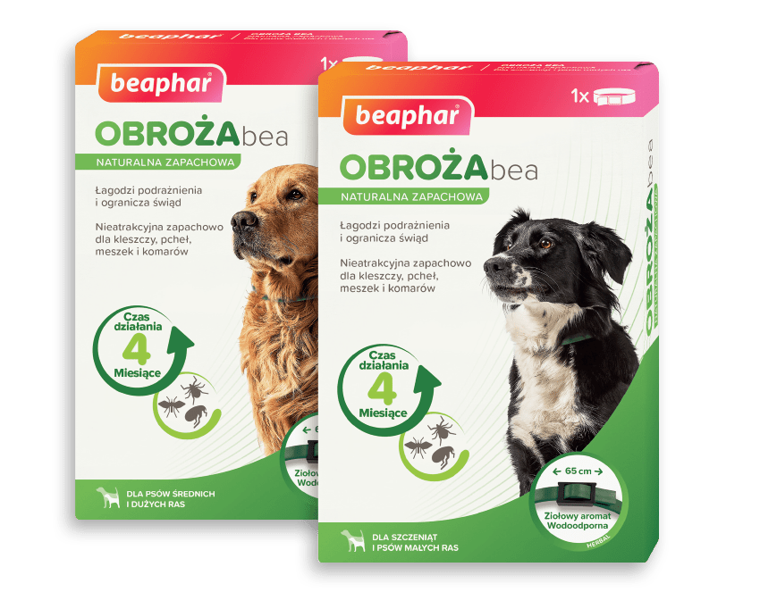 Produkty Beaphar Bea