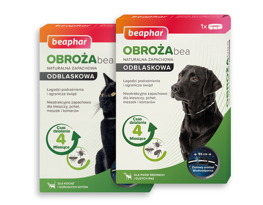 Produkty Beaphar Bea
