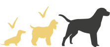 dog sizes