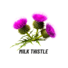 ostropest