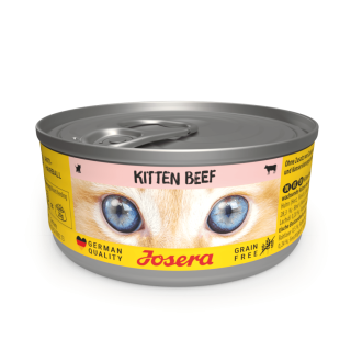 Kitten Beef