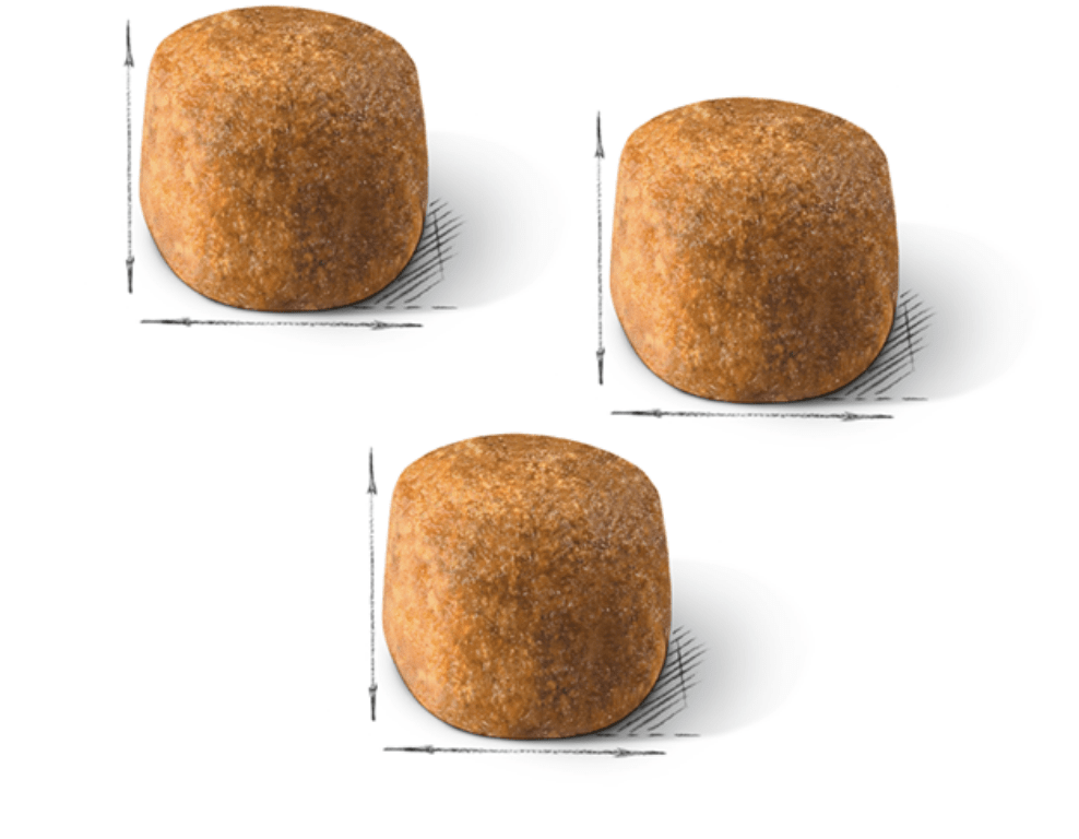 persian-kibble