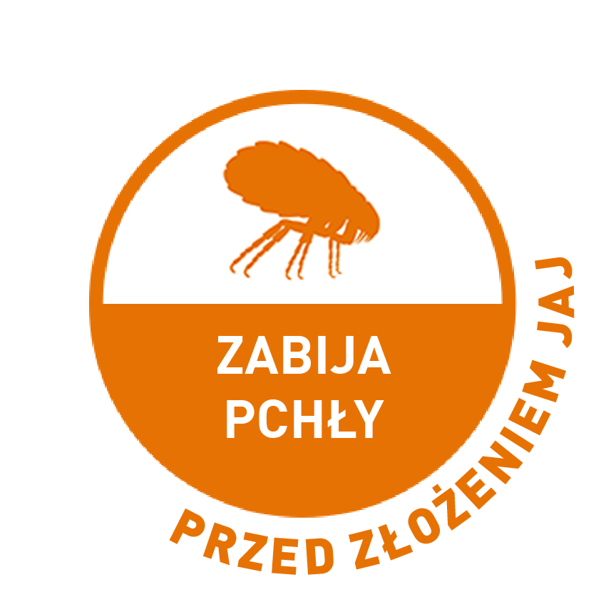 Zabíjí blechy