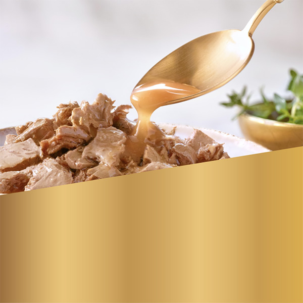 Gourmet Gold