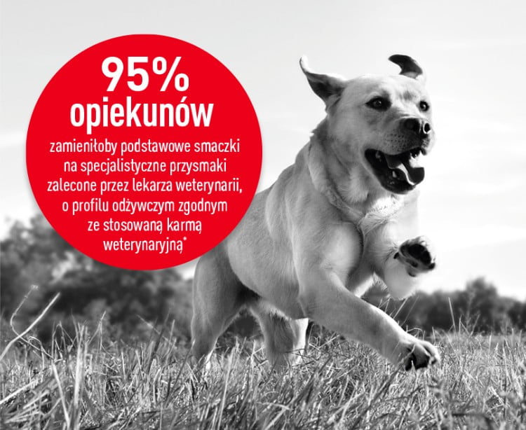 Opis obrazka